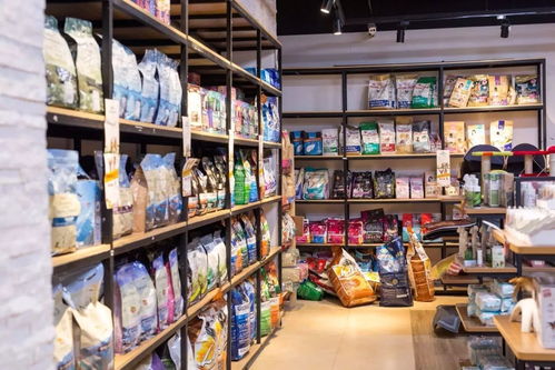 錯(cuò)過了再等一年,下沙這家寵物店不得了