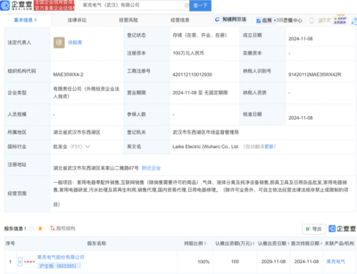 萊克電氣武漢布局新動(dòng)向:全資子公司盛大開業(yè),瞄準(zhǔn)家電市場新機(jī)遇!